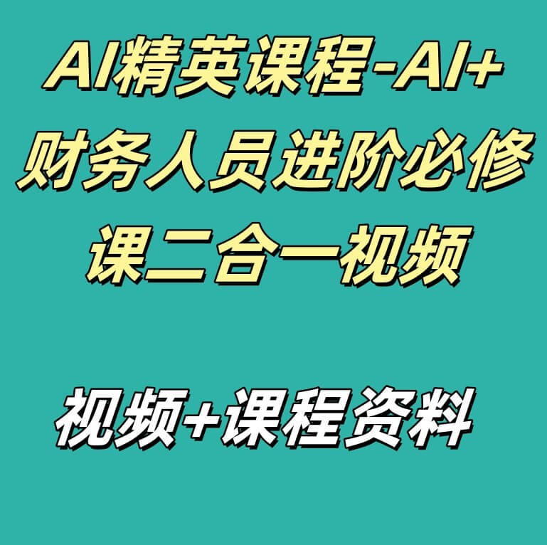 AI精英课程-AI+财务人员进阶必修课二合一视频